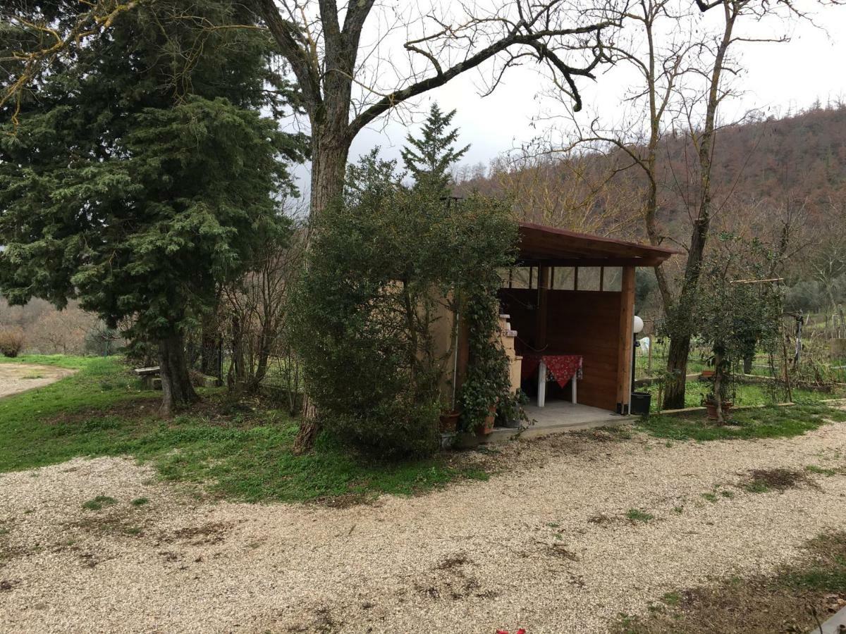 Agriturismo Vista Sole Villa Mercatale  Екстериор снимка