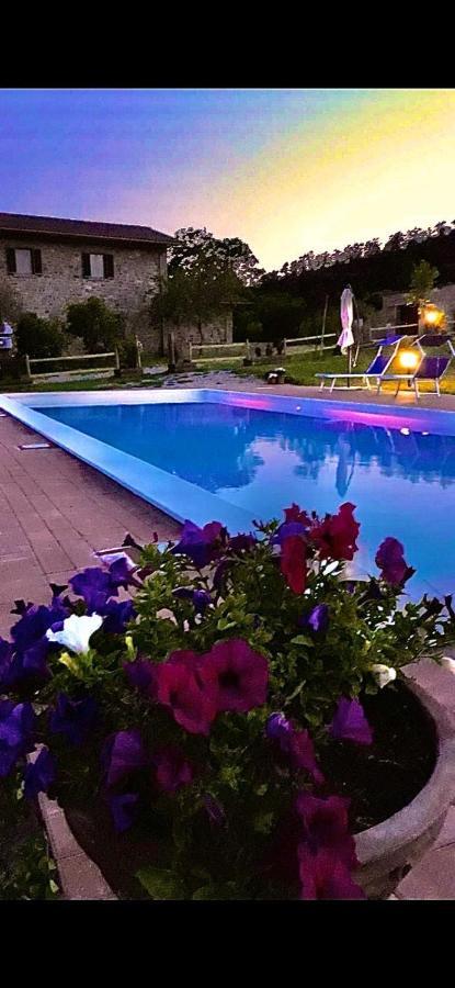 Agriturismo Vista Sole Villa Mercatale  Екстериор снимка
