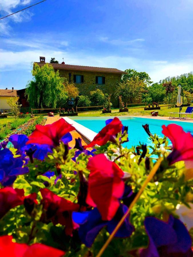 Agriturismo Vista Sole Villa Mercatale  Екстериор снимка